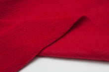 RED<br> polyester<br> polar