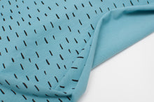 BRINS BLEU PÂLE ET NOIR<br>coton/spandex<br>jersey biologique