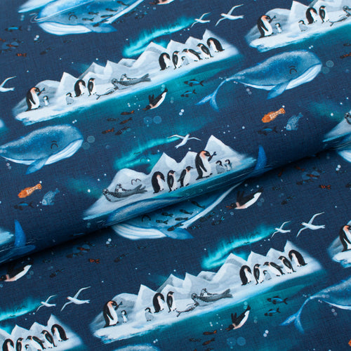 BANQUISE <br> coton/spandex <br> jersey