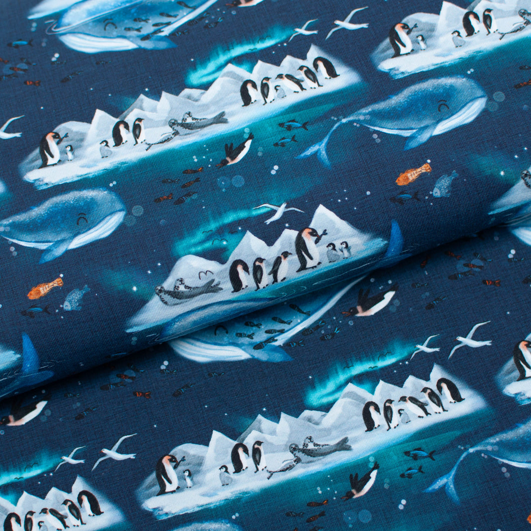 BANQUISE <br> coton/spandex <br> jersey